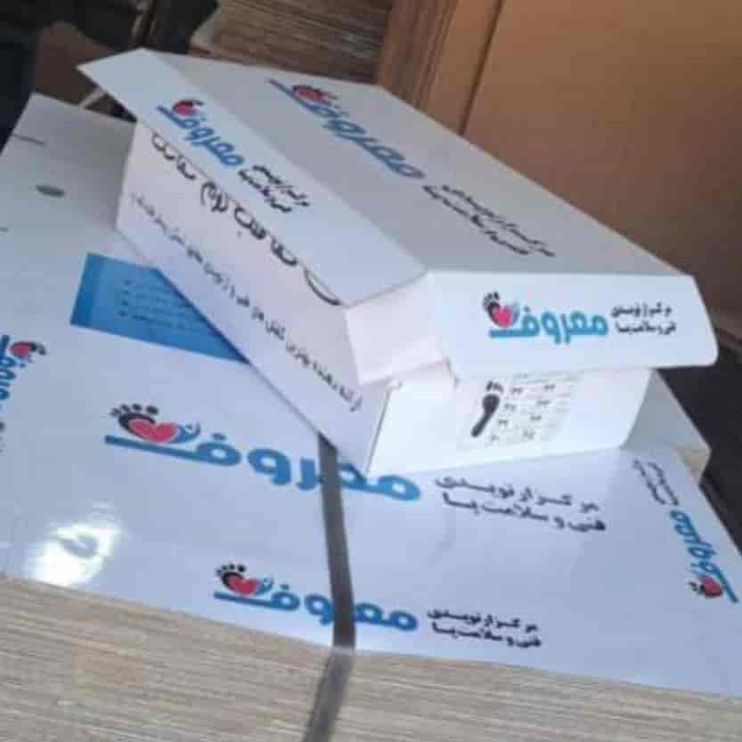 1730524945589.webp